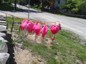 Wren Building Pix 014